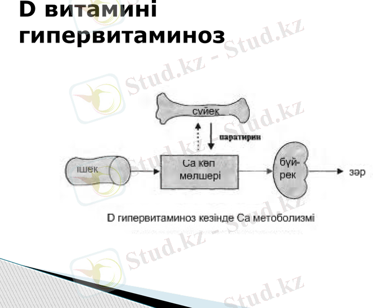 Slide 9