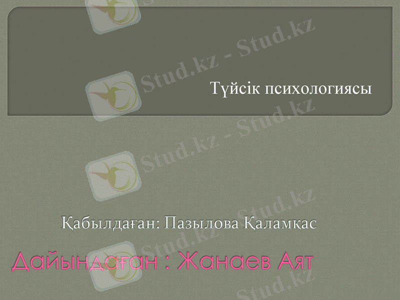 Slide 1