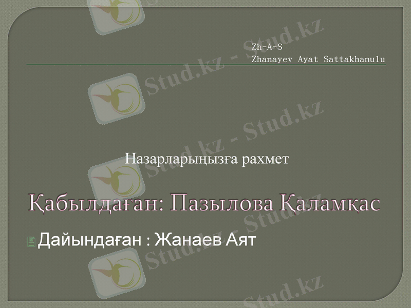 Slide 11