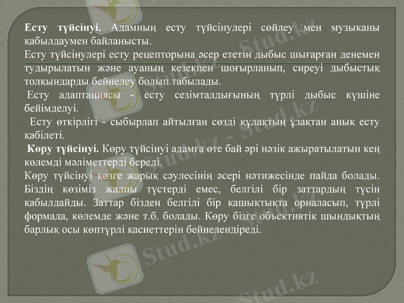 Slide 7