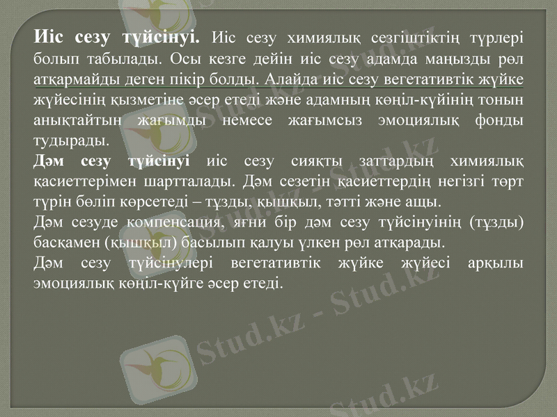 Slide 8