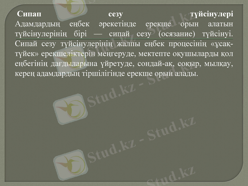 Slide 9