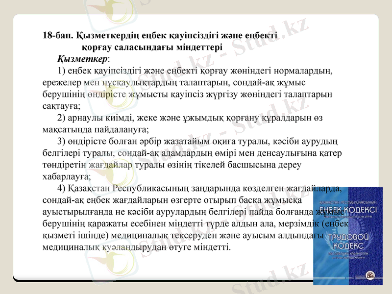 Slide 7