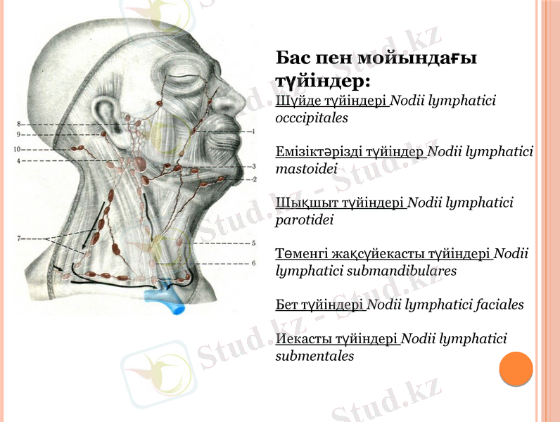Slide 11
