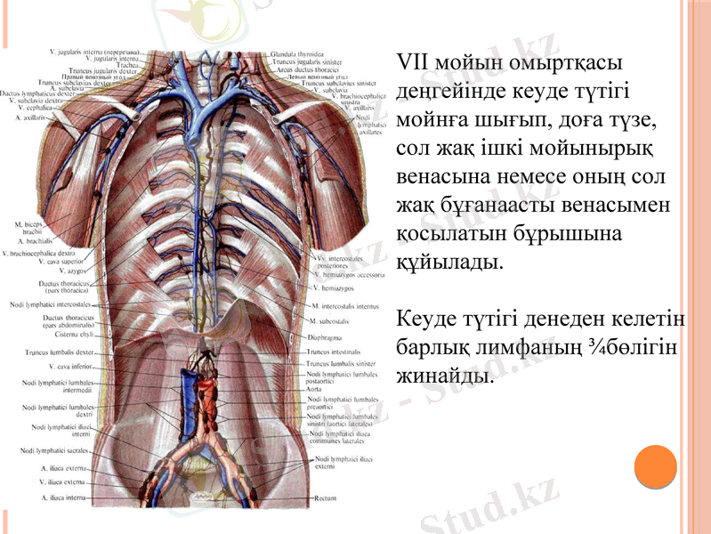 Slide 13