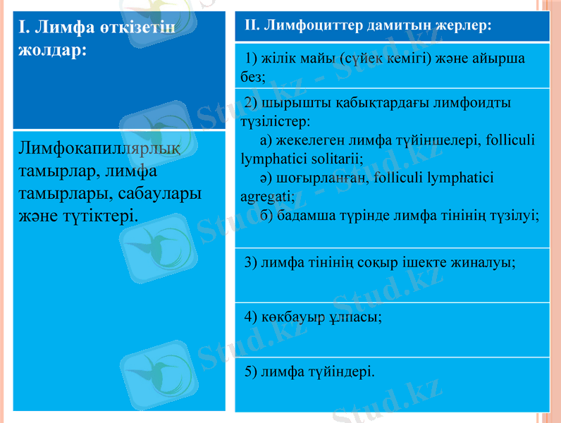 Slide 7