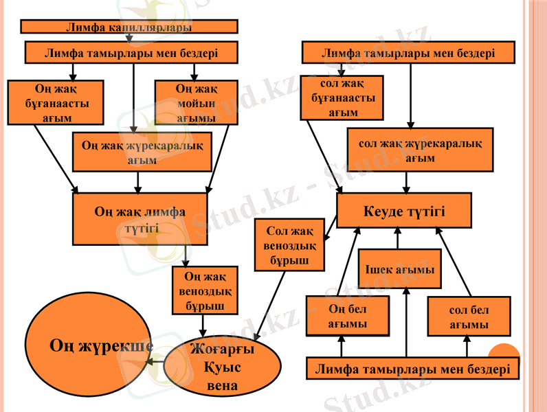 Slide 8