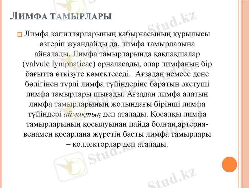 Slide 9