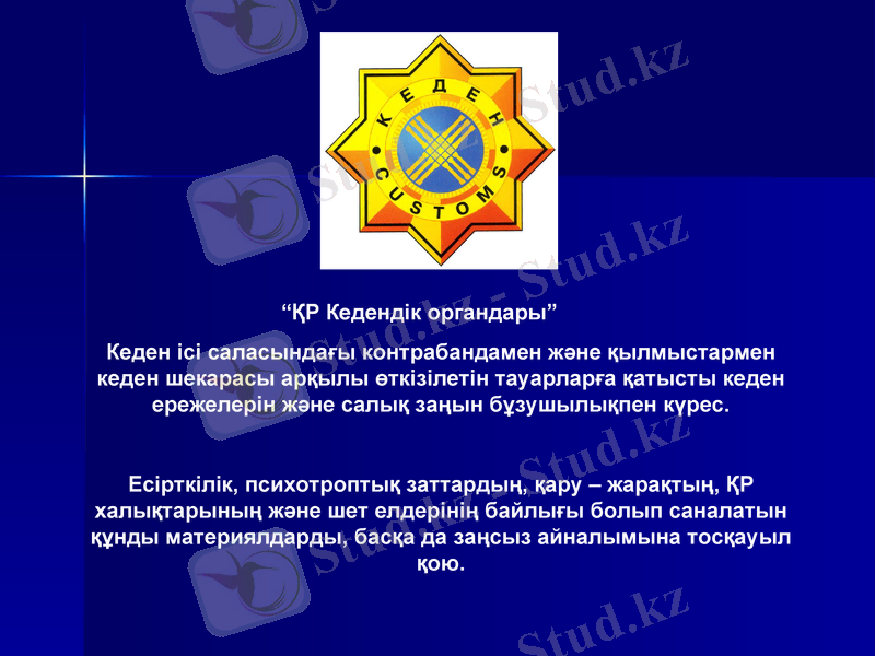 Slide 13