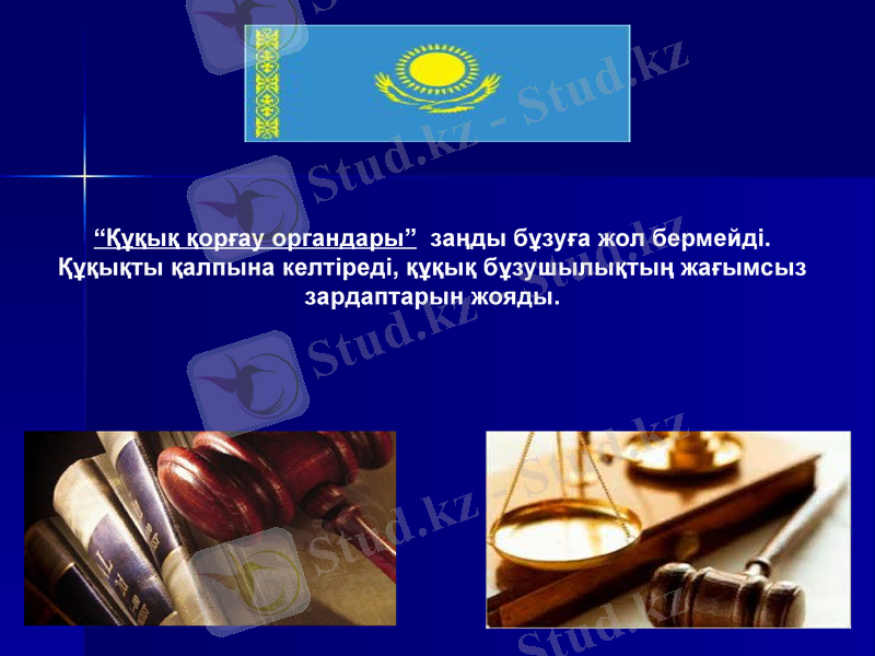 Slide 5
