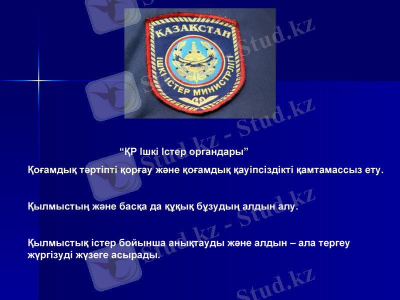 Slide 9