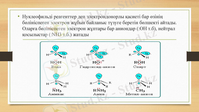 Slide 7