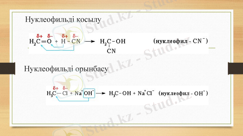 Slide 8
