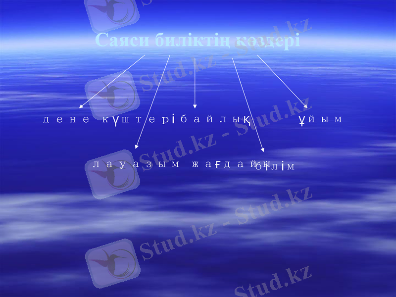 Slide 6