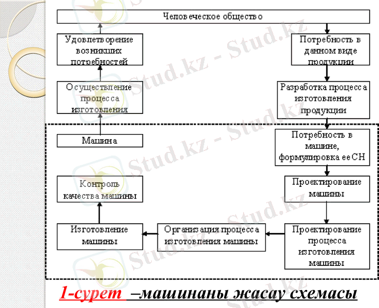 Slide 7