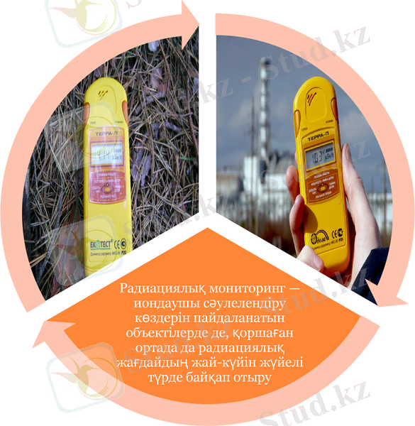 Slide 10