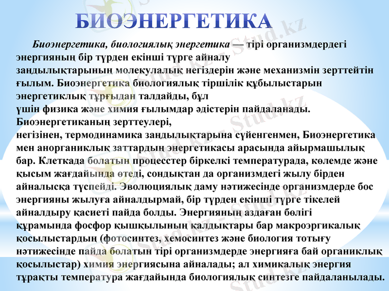 Slide 10