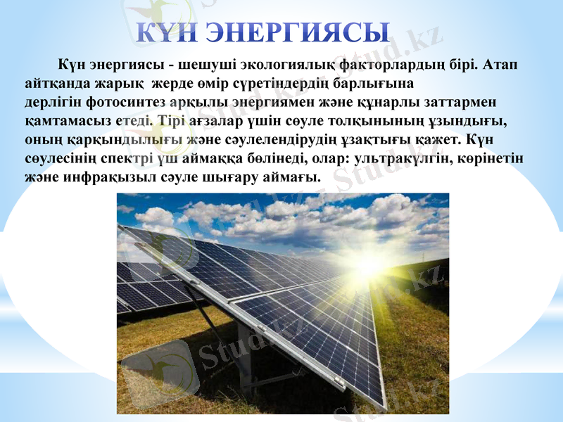 Slide 7