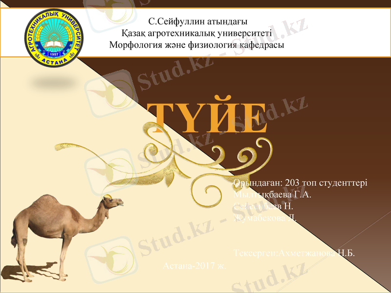Slide 1