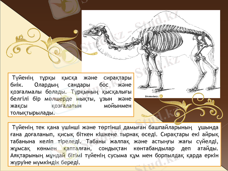 Slide 12