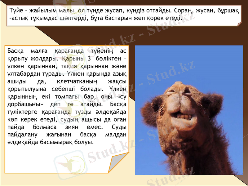 Slide 13