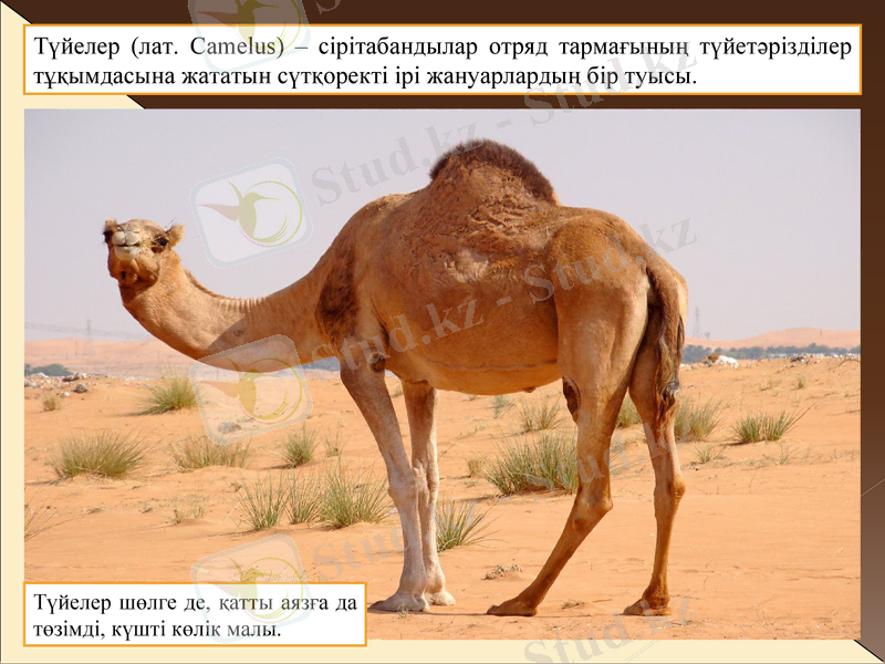 Slide 3
