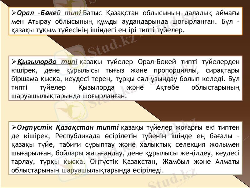 Slide 7