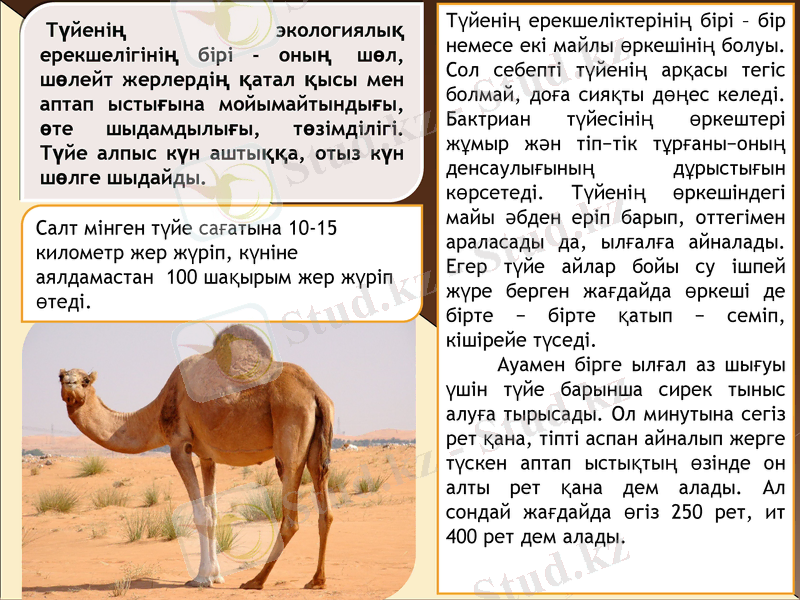 Slide 8