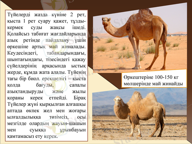 Slide 9