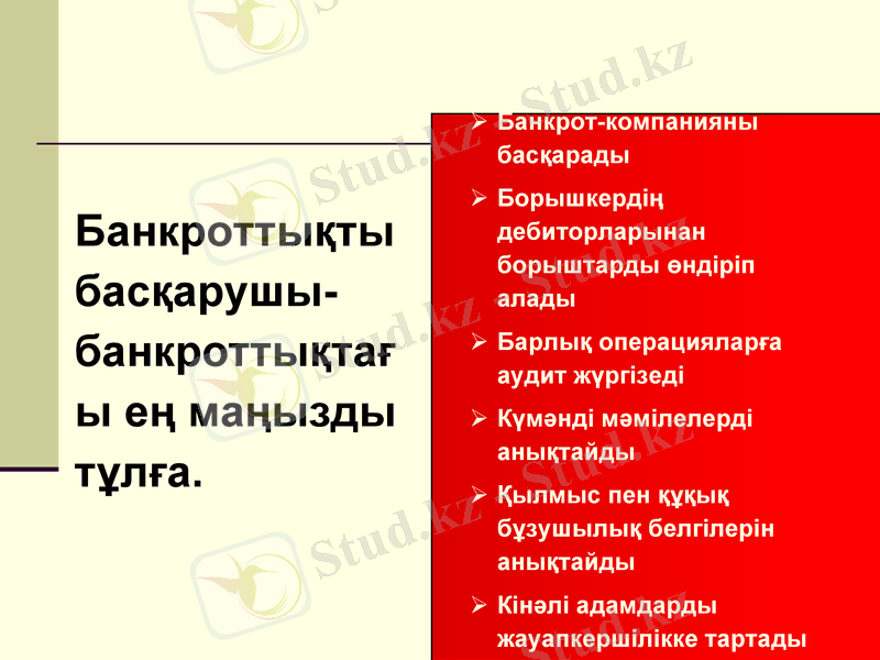 Slide 8