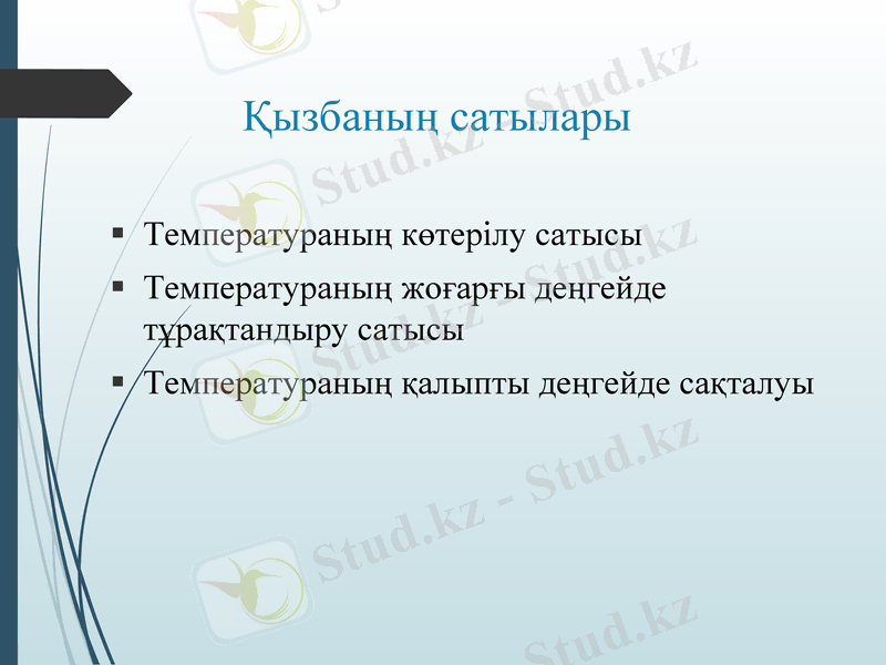 Slide 10
