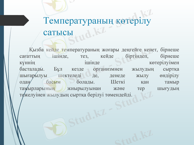Slide 11