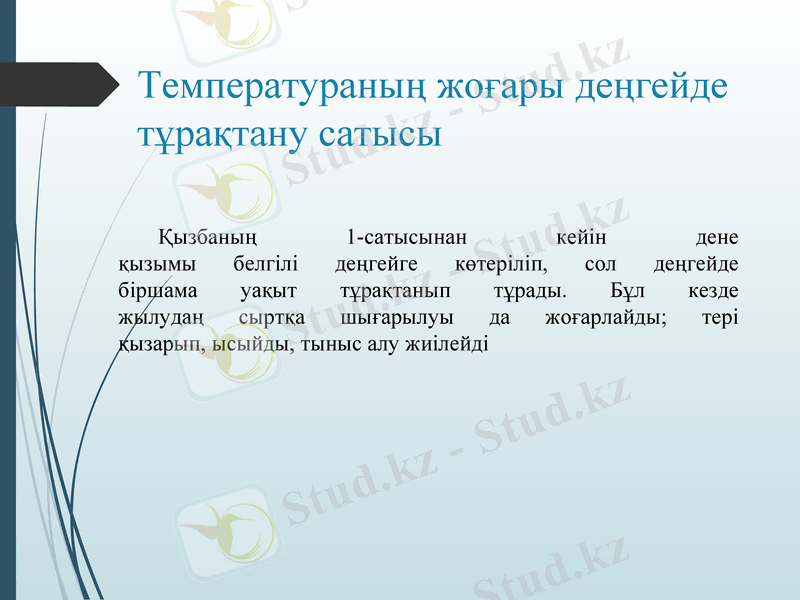 Slide 12
