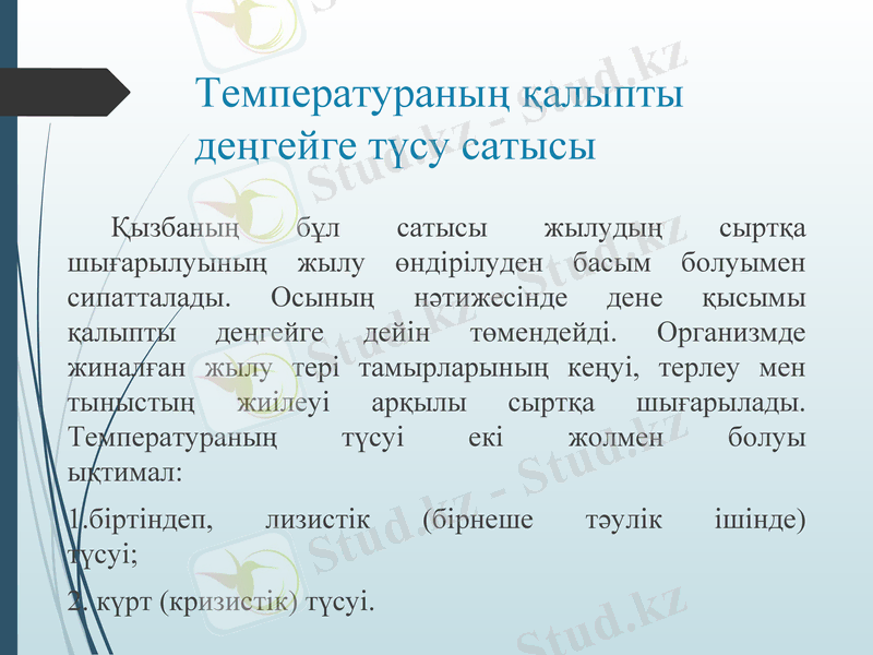 Slide 13