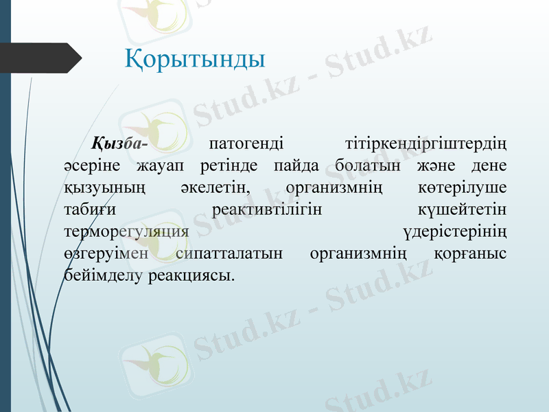 Slide 15