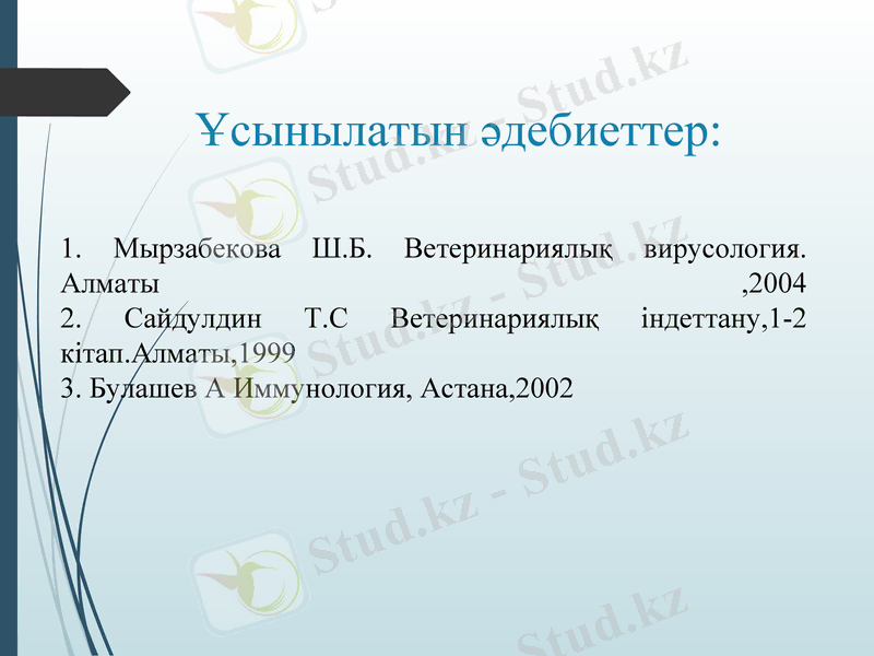 Slide 16