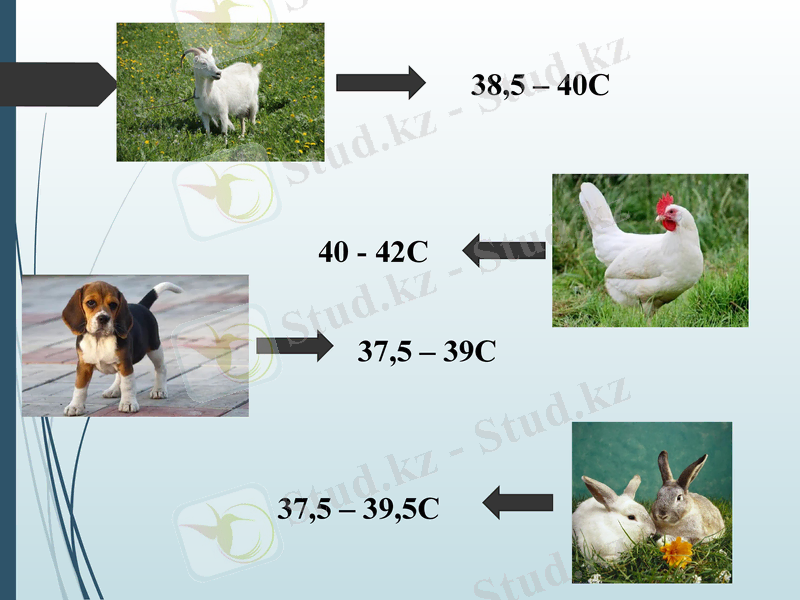 Slide 7