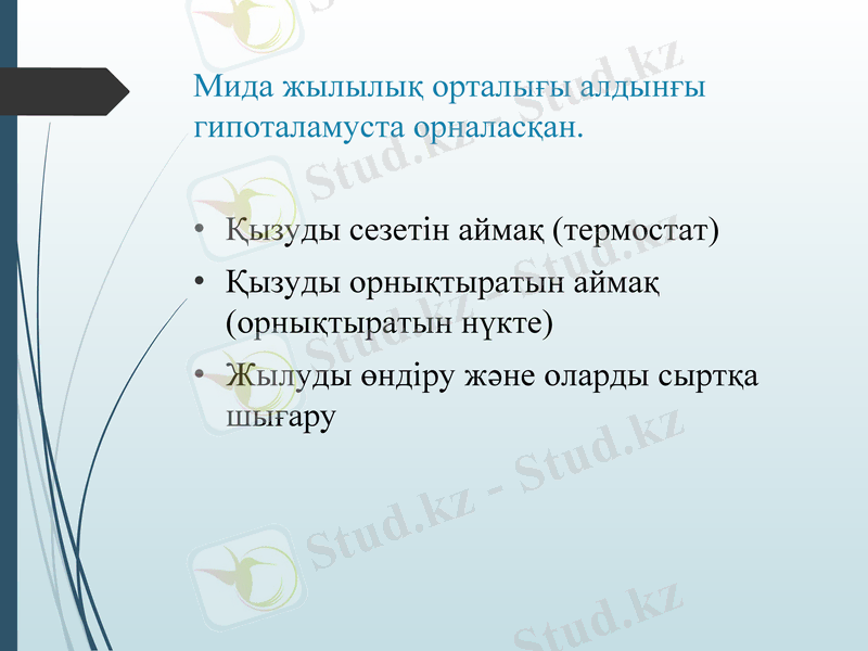 Slide 9