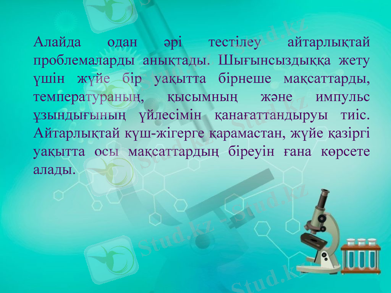 Slide 6