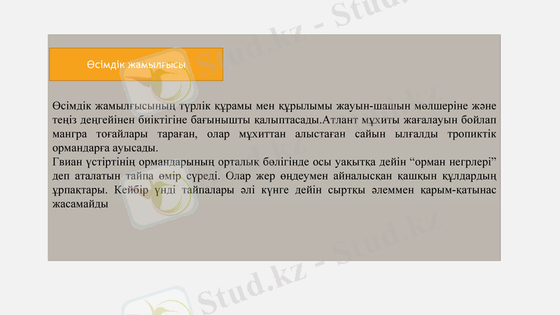 Slide 10
