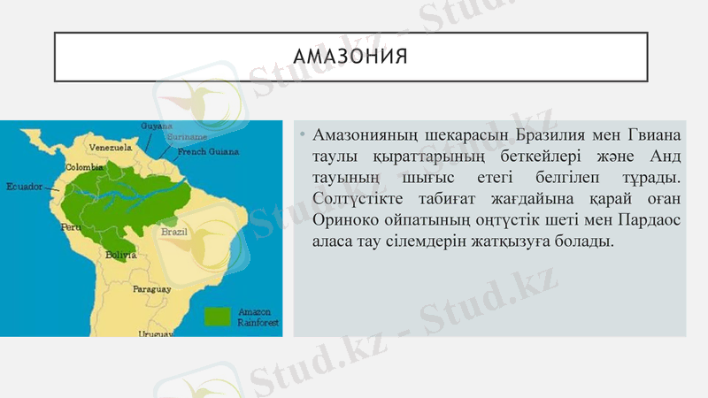 Slide 12
