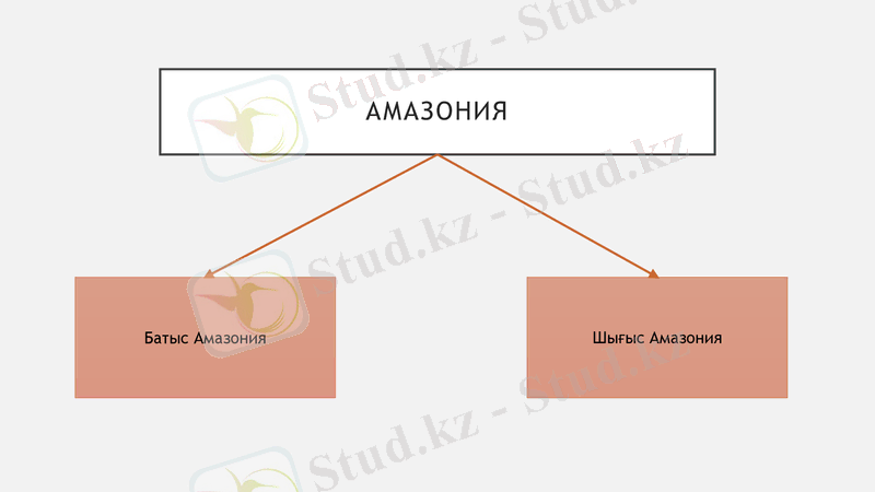 Slide 15