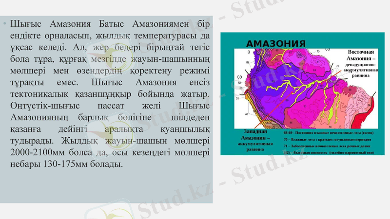 Slide 17