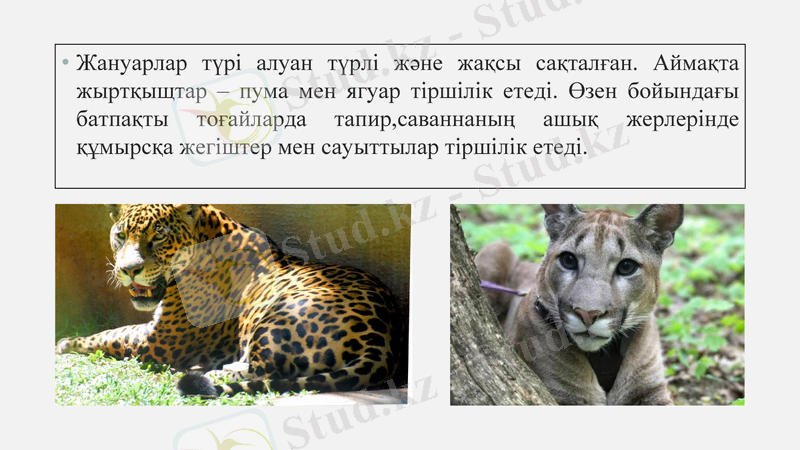 Slide 6