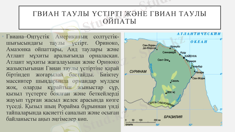 Slide 7