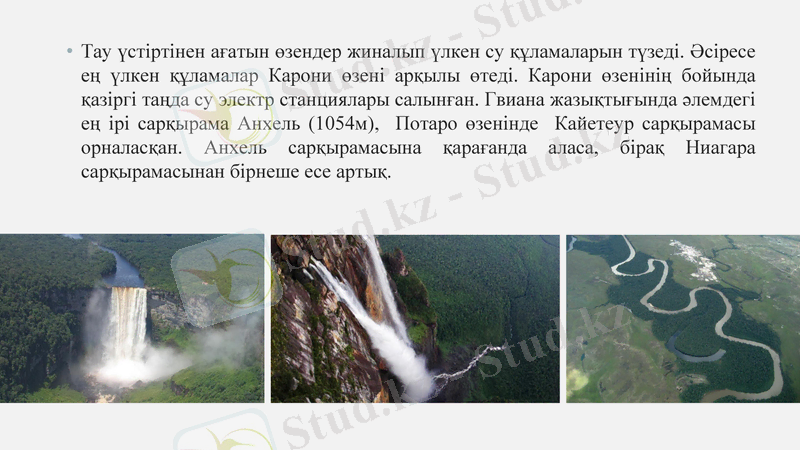 Slide 8