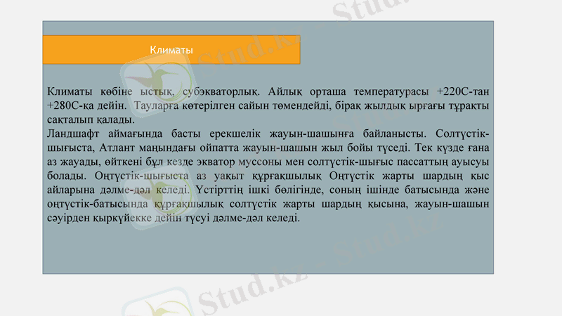 Slide 9