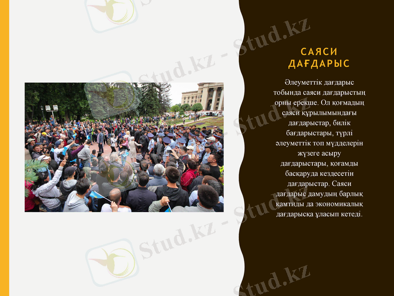 Slide 7