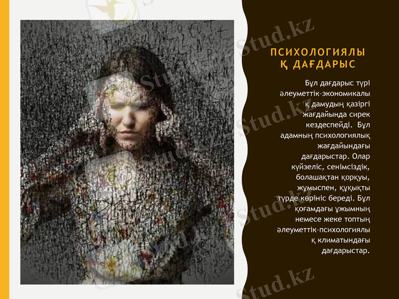Slide 8