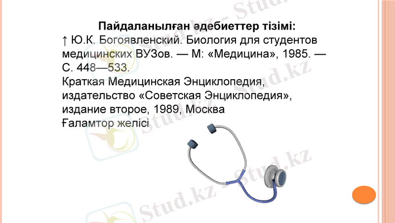 Slide 11